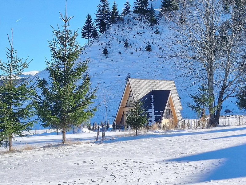 Gânduri de la Alloria