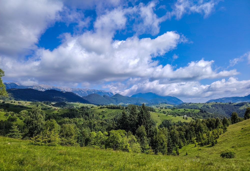 Peisaj panoramic cu dealuri verzi, păduri dese și Munții Piatra Craiului în fundal, văzuți din apropierea Alloria
